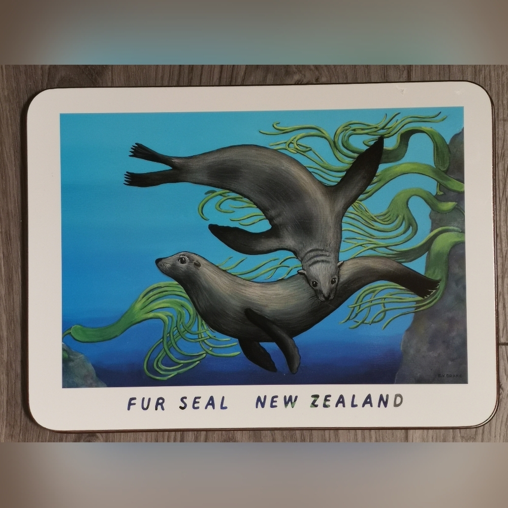 Jason Fish Placemats Set - "Underwater NZ" - Picture 4 of 10